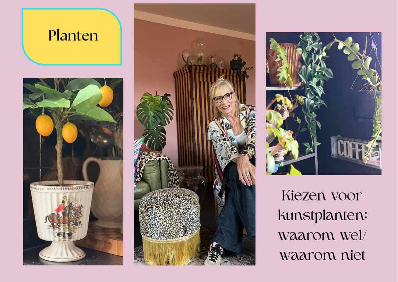 Kiezen voor kunstplanten: waarom wel/waarom niet