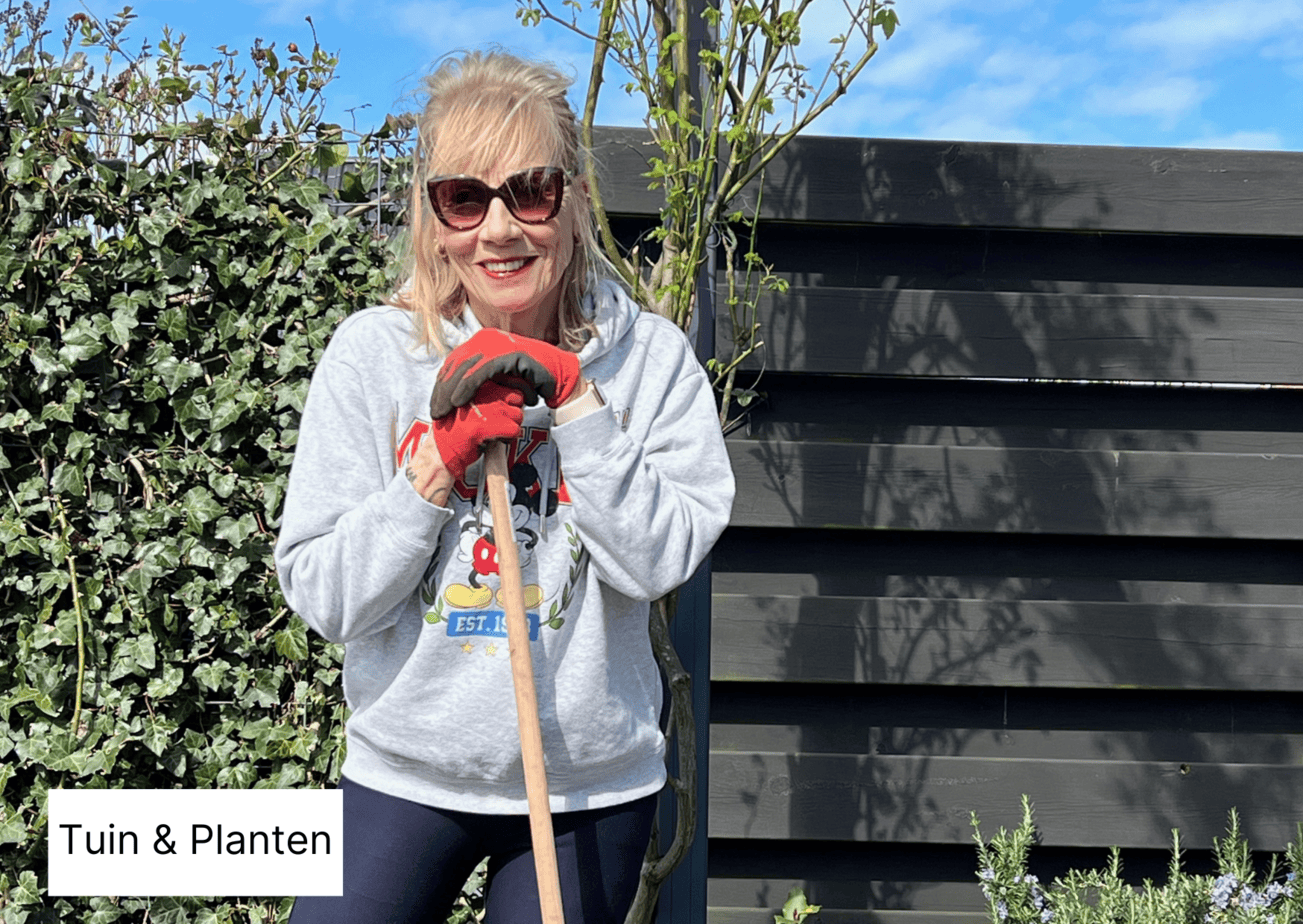 Tuinklusjes in het najaar: laat de natuur zijn werk doen