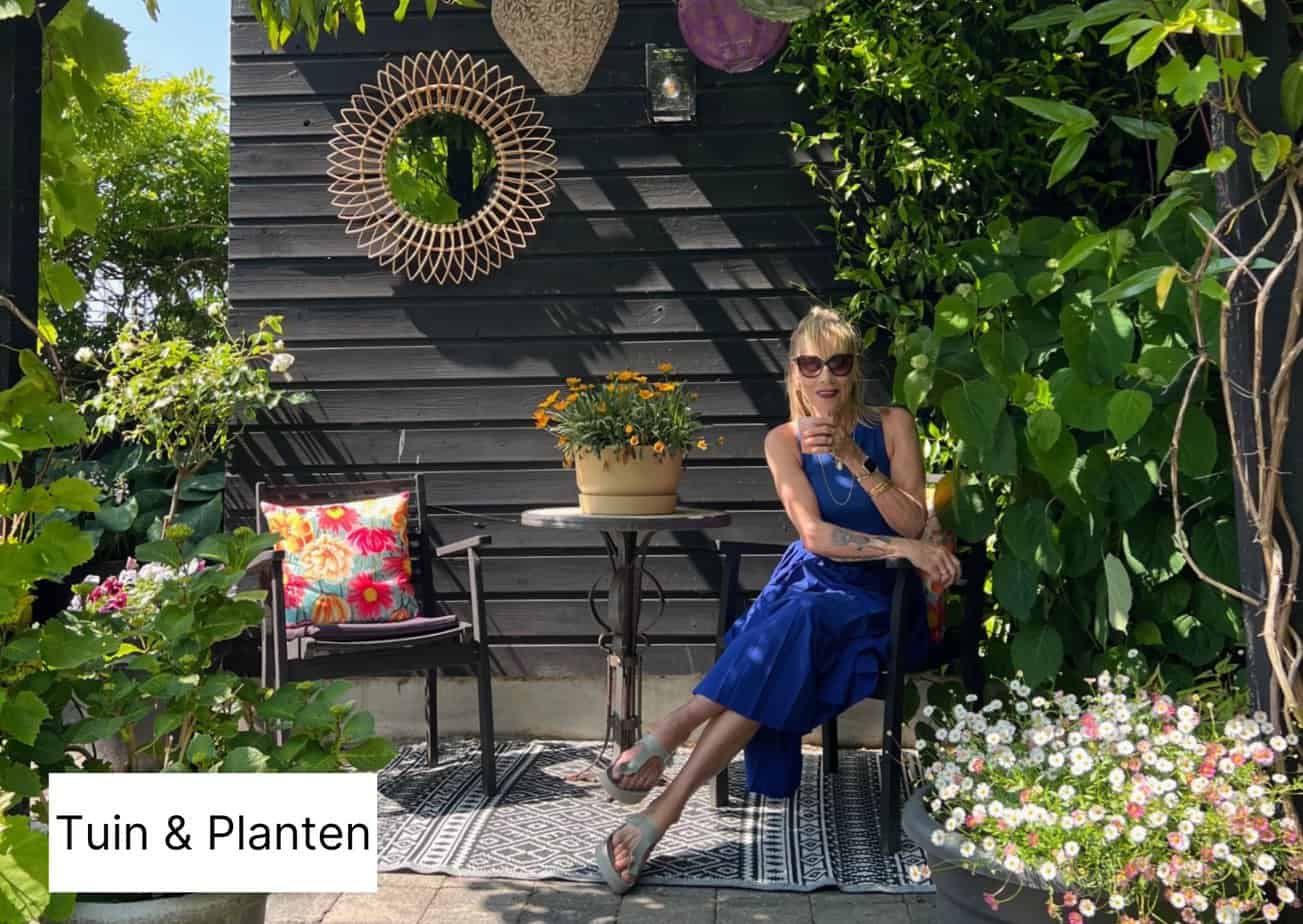 Zo Creëer je een Sfeervolle Tuin vol Groen: mijn Tuinverhaal